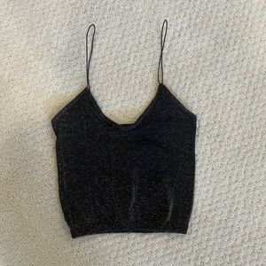Shimmery Crop Top